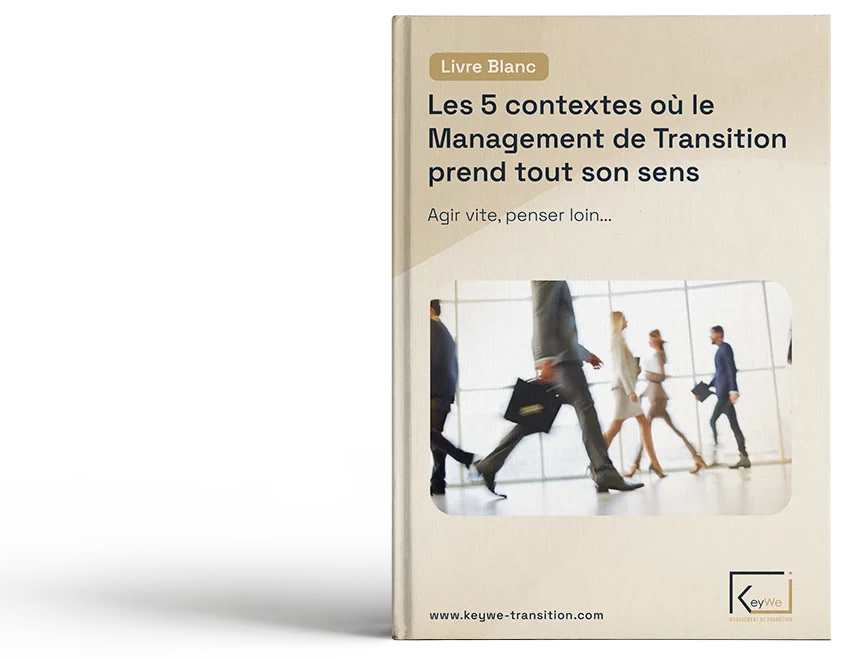 Ressources professionnelles Management de transition - Guide complet - quand et pourquoi faire appel au Management de Transition