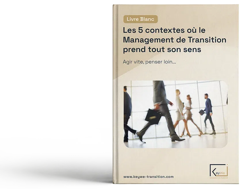 Ressources professionnelles Management de transition - Guide complet - quand et pourquoi faire appel au Management de Transition